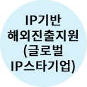 IP기반 해외진출지원(글로벌IP스타기업)